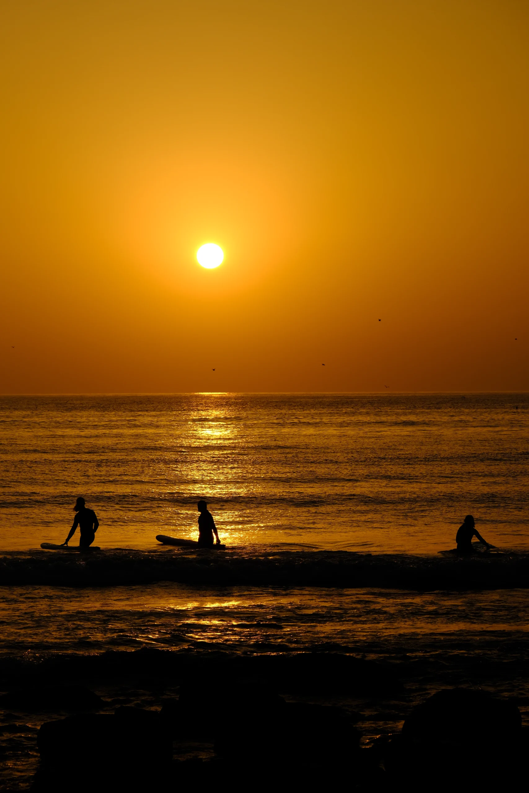 Student learning to surf the longest right-hand wave in Imsouane Morocco
